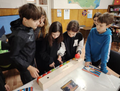 Железное здоровье. Иммуноген