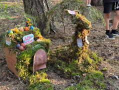 Конкурс поделок из природного материала в ДОЛ "Яльчик".