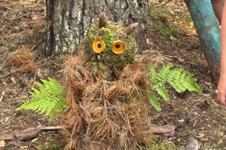 Конкурс поделок из природного материала в ДОЛ 