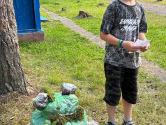 Конкурс поделок из природного материала в ДОЛ "Яльчик".