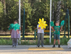 Экологическое шоу в ДОЛ "Яльчик"