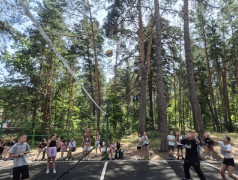 Соревнования стартовали! Волейбол в ТОПе Услады!