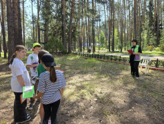 итоговая станционная игра &laquo;СуперСила квадронавтов&raquo; в ДОЛ "Яльчик"