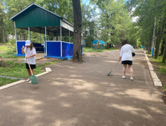 Акция &laquo;Чистый лагерь начинается с тебя!&raquo; 