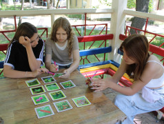 Стратегическая командная игра "Железнодорожный вызов"