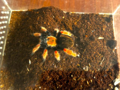 "Мир на ладошке" в фоц Минеральные воды