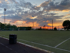 В лагере &laquo;Экспресс&raquo; (пос. Кабардинка) развели волшебный зоопарк!
