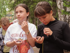  Железнодорожный вызов: новые победы наших отрядов! 