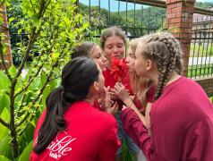 В &laquo;Экспрессе&raquo; настолько День Красного, что даже помидоры завидуют!