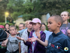 Железнодорожный вызов в Зеленом Огоньке!