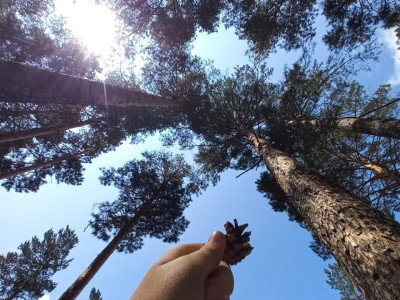 Лицо лагеря. Хоть сейчас на обложку.