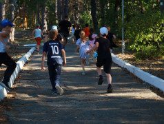 Охота на ЛИС!