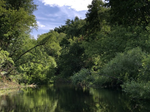 Моя малая Родина