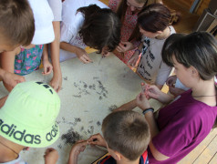 Рекорды нашего лагеря