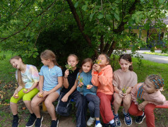 Настоящее волшебство: Открывая мир заново вдали от гаджетов  