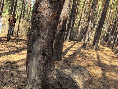 Лицо лагеря. Хоть сейчас на обложку.