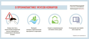 Памятка: Осторожно, комары!