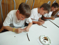 Кружковая работа в лагере "Яльчик".