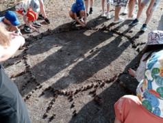 Стартовали на ура!