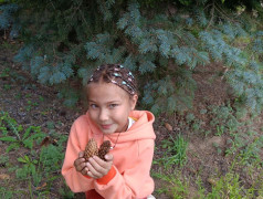 Настоящее волшебство: Открывая мир заново вдали от гаджетов  