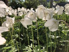 Моя малая Родина