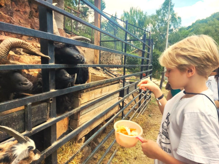 Медовые водопады в фоц минеральные воды