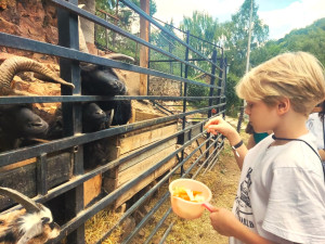 Медовые водопады в фоц минеральные воды