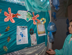 Гостевания в Заслоновграде: день удивительных открытий и ярких впечатлений