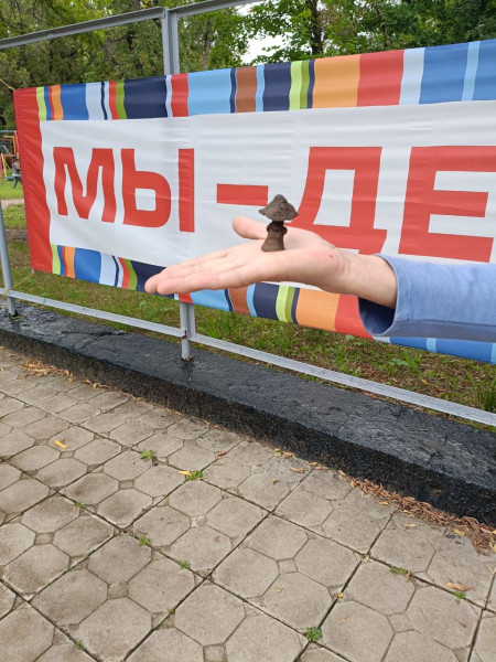 Настоящее волшебство: Открывая мир заново вдали от гаджетов  