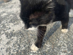 30 Августа в ДОЛ "Магистраль" 1 отряд отправился в увлекательный... 