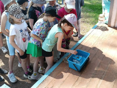 14 июня, наш лагерь  превратился в самую настоящую крепость, имя которой &ndash; &laquo;Форт Боярд&raquo;. 