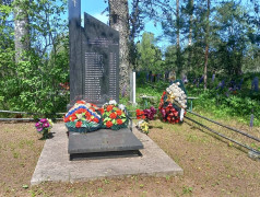 Памятники окрестностей деревни Опухлики.