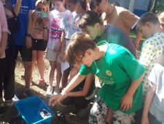 Игра "Форт Боярд"