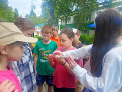 День молодёжи в "Солнечном"