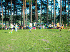 Пятый день в лагере "Дружба"