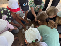 В гостях у Юного железнодорожника &mdash; Движение первых