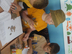 Моя малая Родина