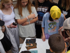 "12 шагов к твоему движению"