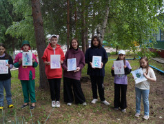 Мастер - класс &laquo;травы Башкирии&raquo;