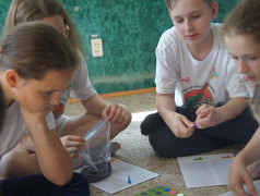 Прошли "Здоровым маршрутом"