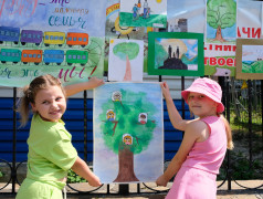 Расцвели "Ромашковые поля"