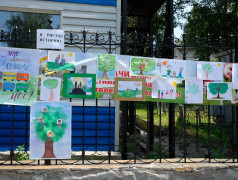 Расцвели "Ромашковые поля"