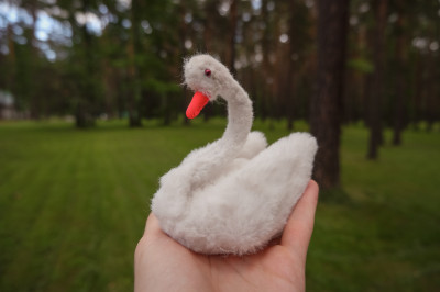 Белый лебедь - символ России