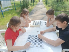 Черные или белые? Кто же победит?