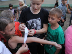 Виды волонтёрства