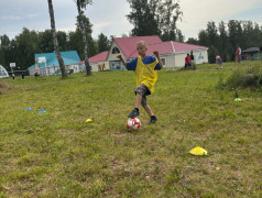 Оле, Оле-оле-олееее!