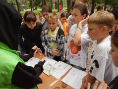  Железнодорожный вызов: новые победы наших отрядов! 