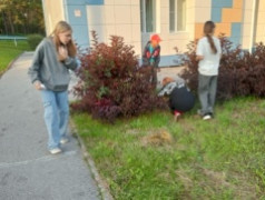 30 Августа в ДОЛ "Магистраль" ребята из 2 отряда приняли участие в захватывающем квесте... 