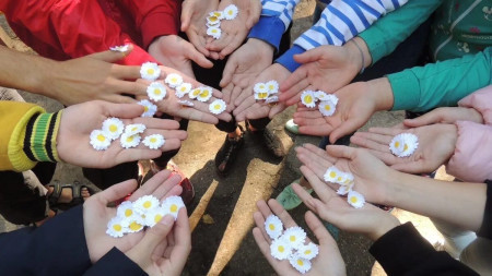 Год семьи в детских оздоровительных лагерях ОАО &laquo;РЖД&raquo;: интересно, познавательно и сохраняя традиции.