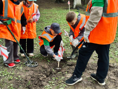 7 день - 50 лет Сахарежу | 2 смена | итоги